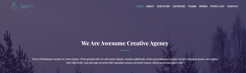 Web Development Project
